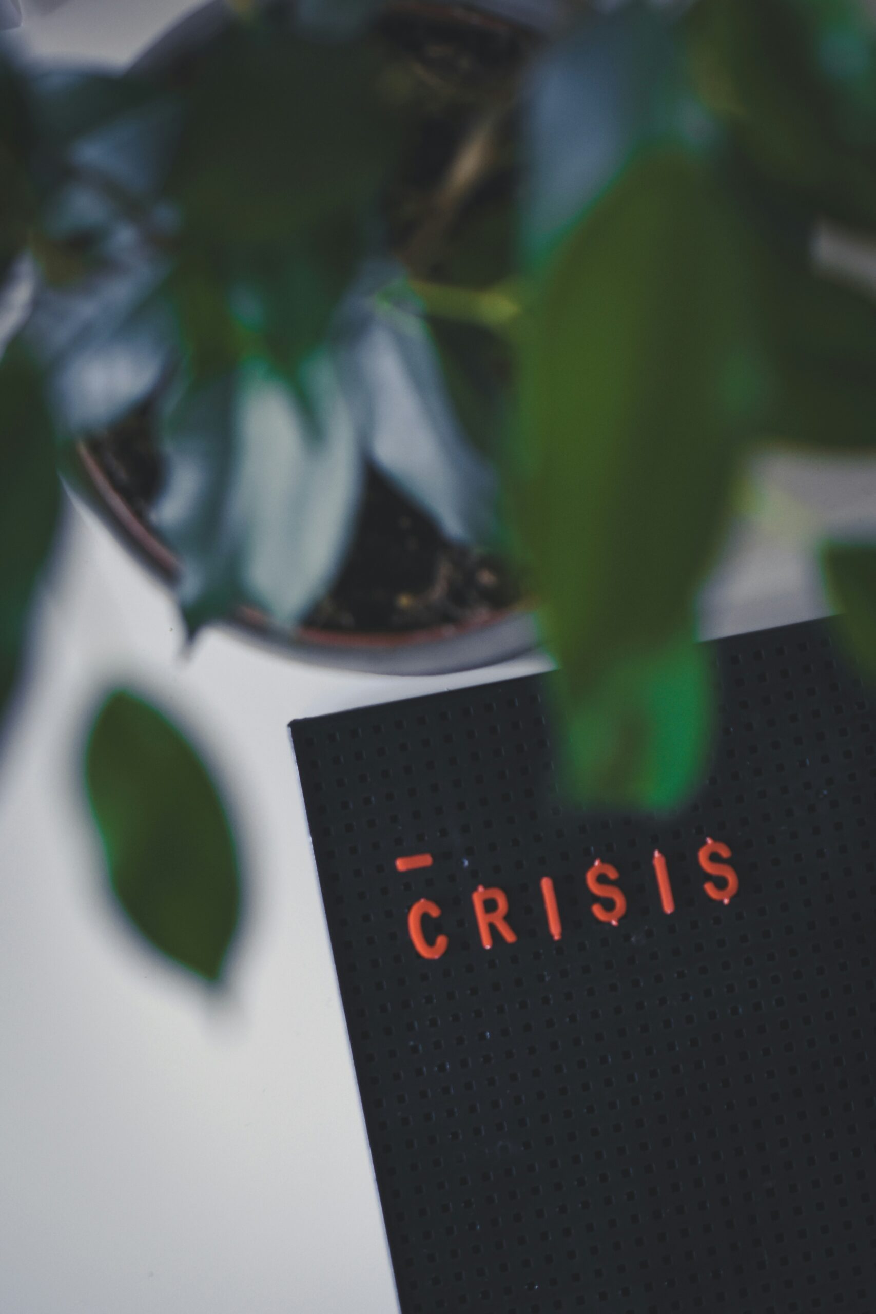 Emprendimiento en crisis: estrategias para superar dificultades